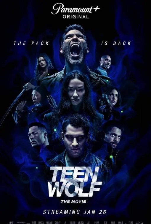 VoodIPTV film en serie poster