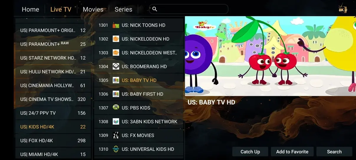 VoodIPTV zendercategorieen voor Nederlandse huishoudens afbeelding